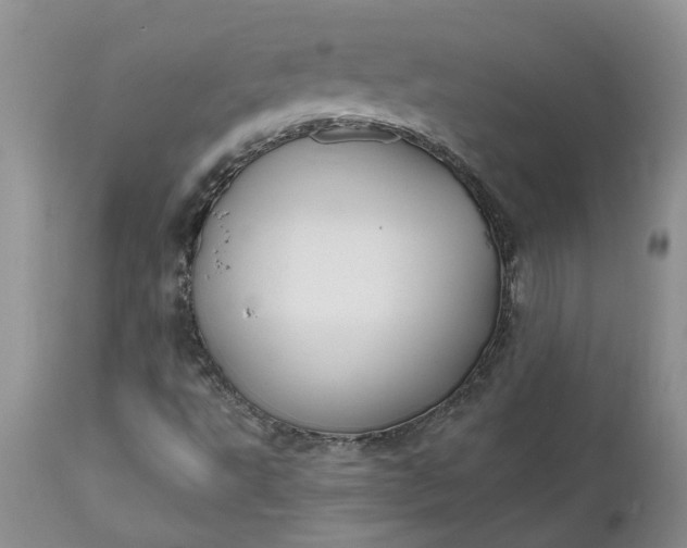 X0000112541495200908311434