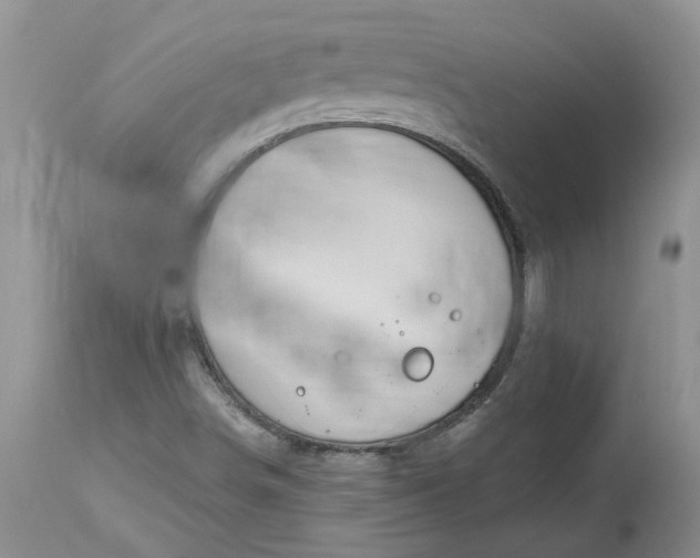 X0000112541498200908311434