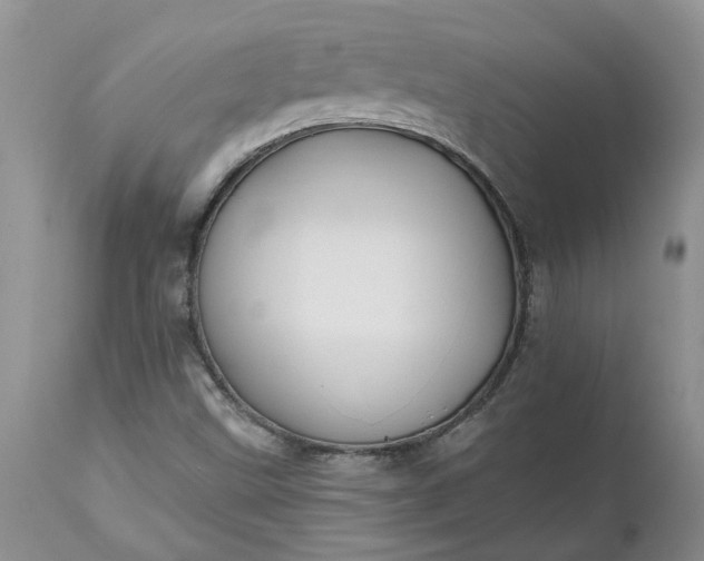X0000112541499200908311434