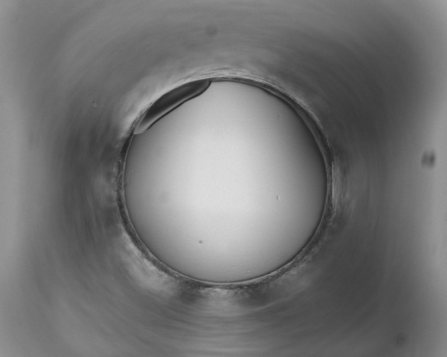 X0000112541500200908311434