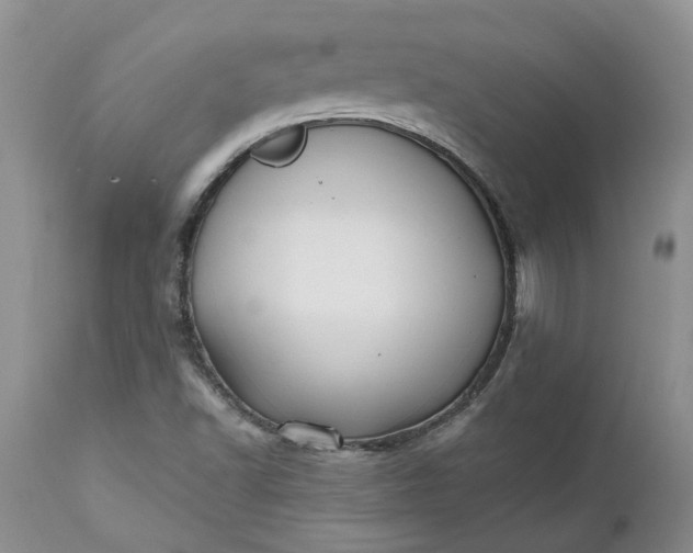X0000112541502200908311434