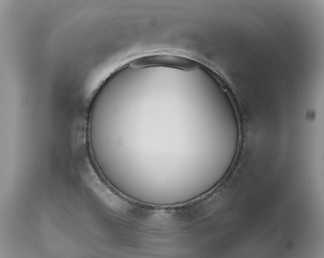 X0000112541504200908311434