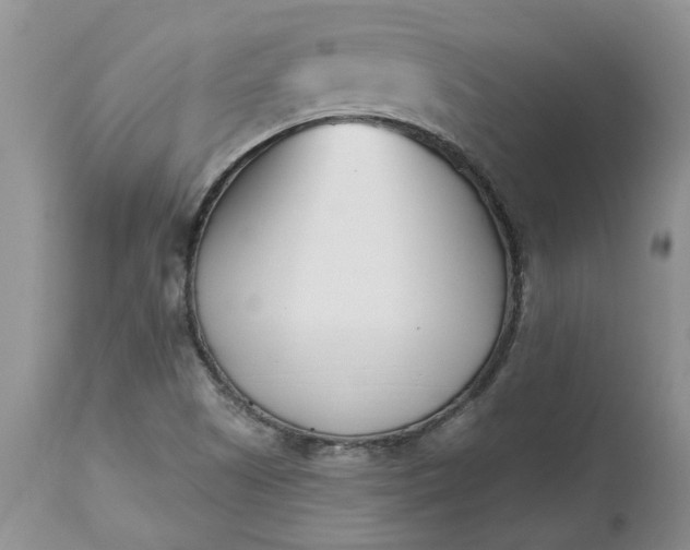 X0000112541505200908311434
