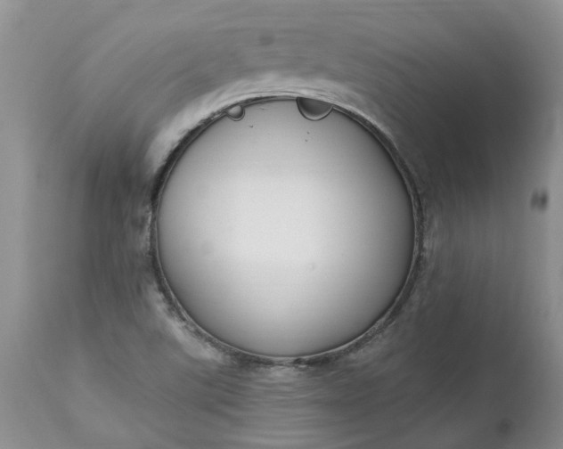 X0000112541507200908311434