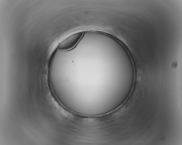 X0000112541508200908311434
