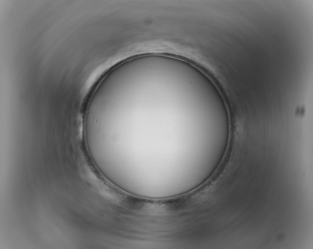X0000112541509200908311434