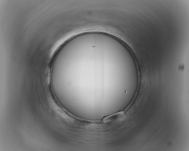 X0000112541510200908311434