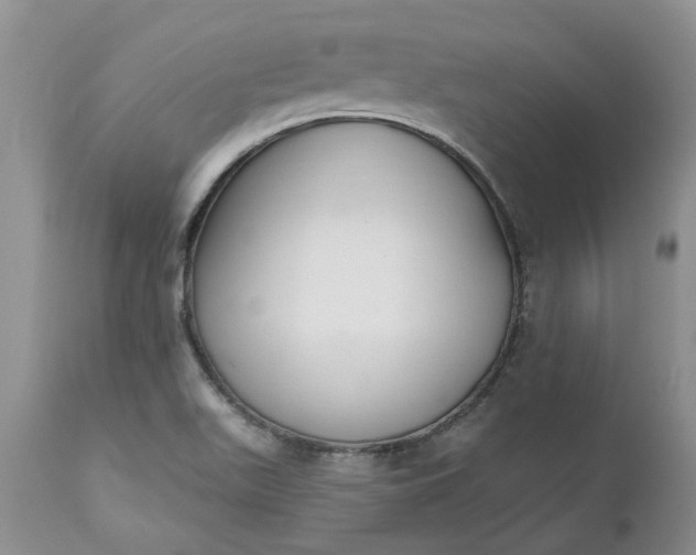 X0000112541511200908311434