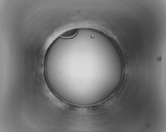 X0000112541512200908311434