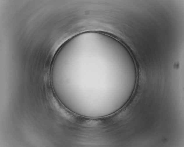X0000112541513200908311434