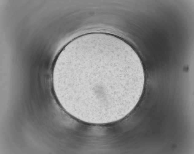 X0000112541514200908311434