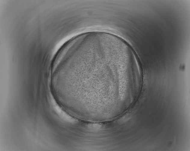 X0000112541515200908311434