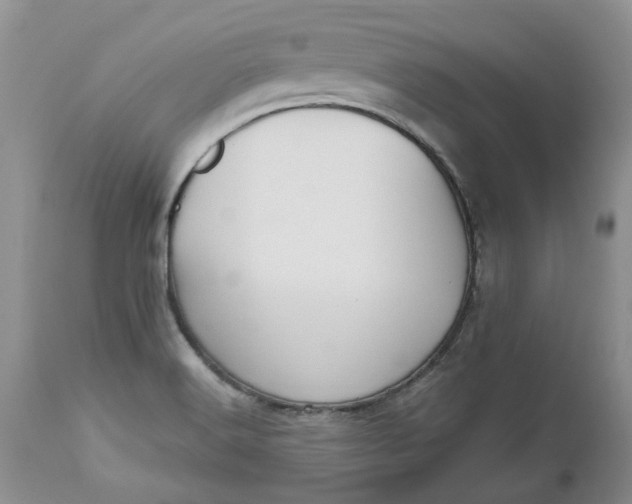 X0000112541516200908311434