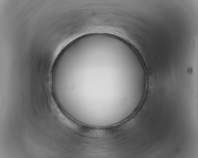 X0000112541517200908311434