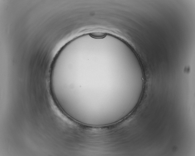 X0000112541518200908311434