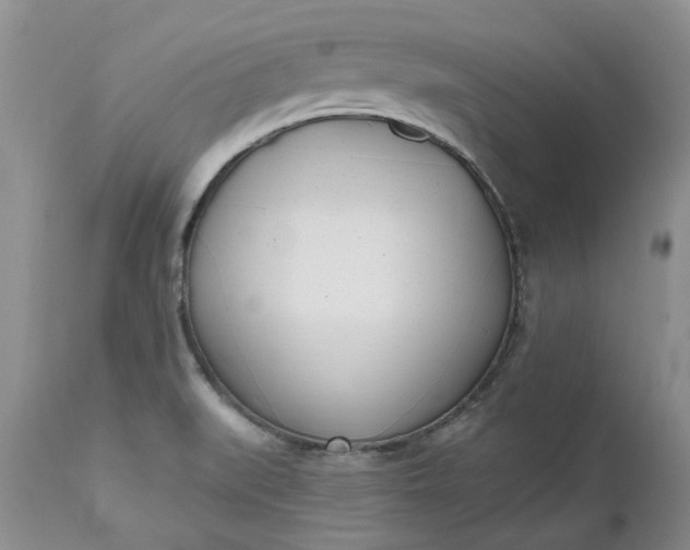 X0000112541519200908311434