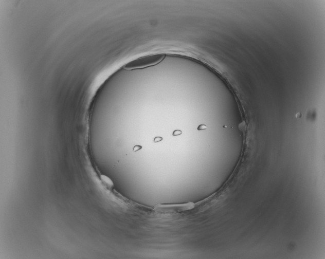 X0000112541520200908311434
