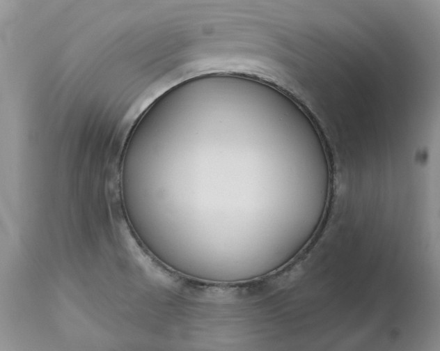 X0000112541521200908311434