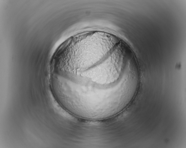 X0000112541522200908311434