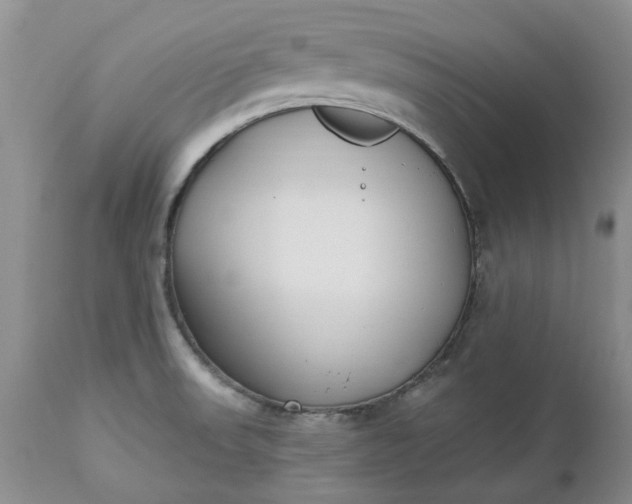 X0000112541523200908311434
