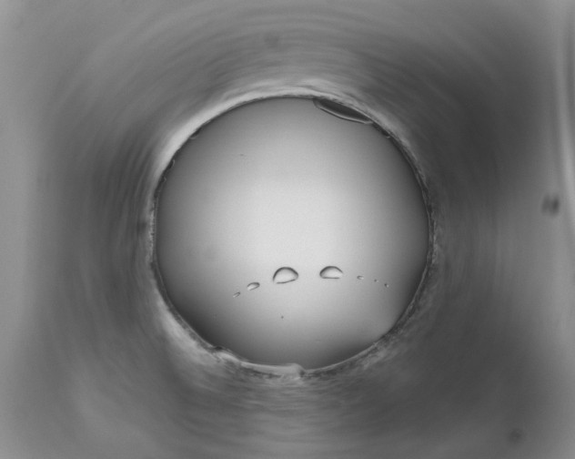 X0000112541524200908311434