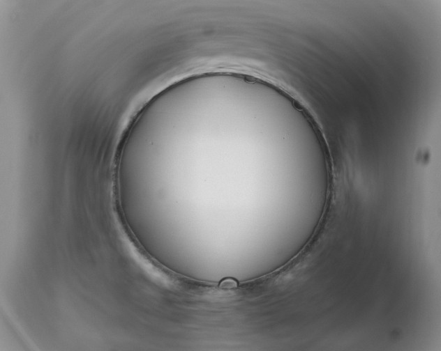 X0000112541525200908311434