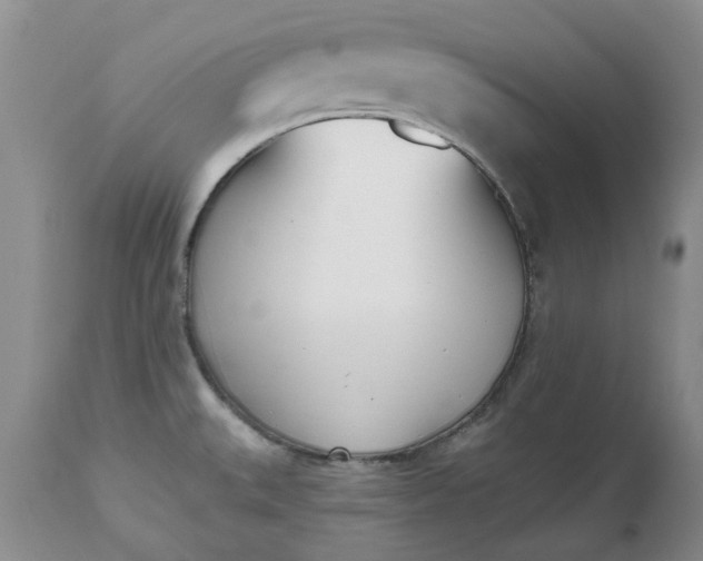 X0000112541527200908311434