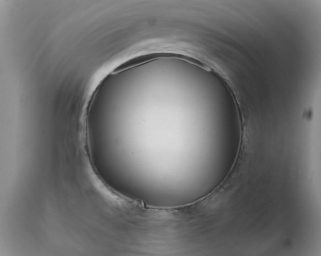 X0000112541528200908311434