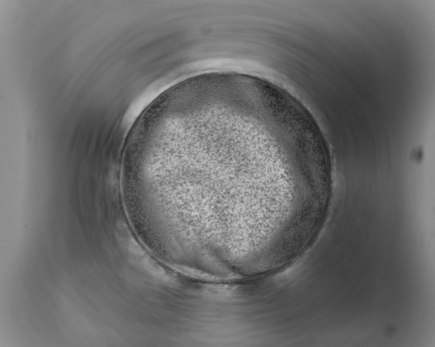 X0000112541529200908311434