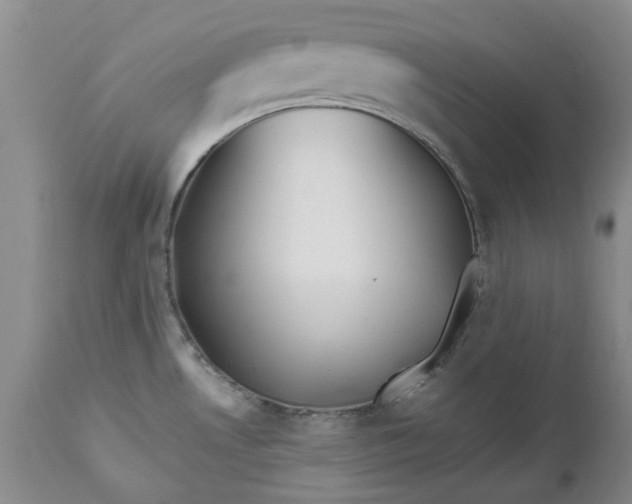 X0000112541530200908311434