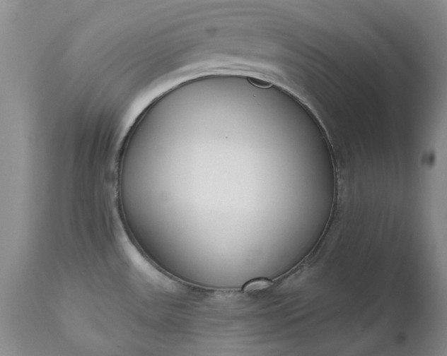 X0000112541531200908311434