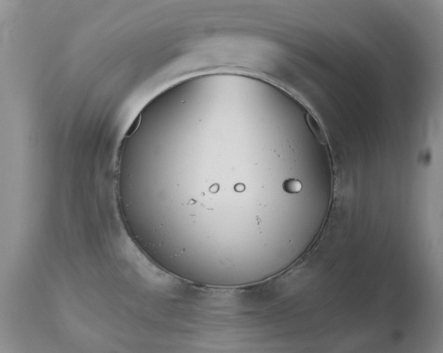 X0000112541532200908311434