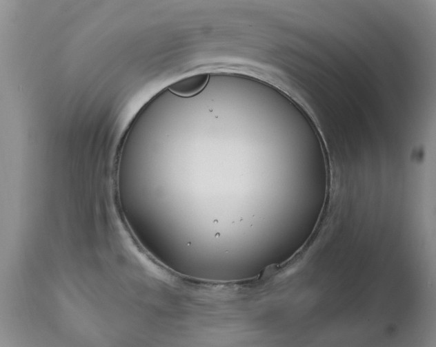 X0000112541533200908311434