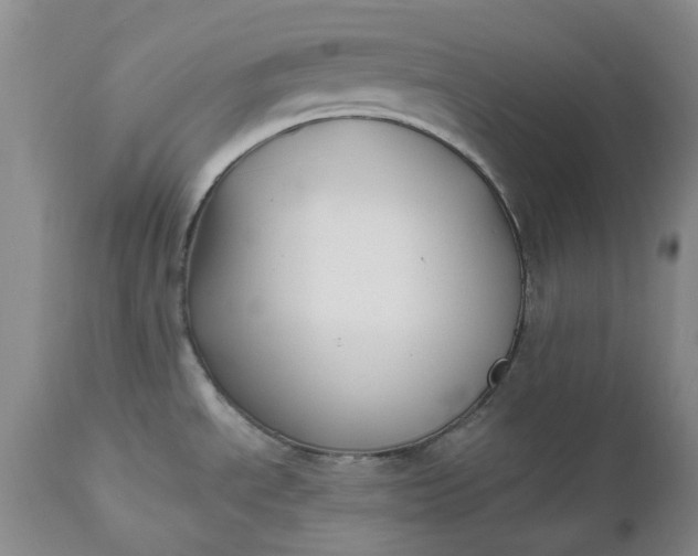X0000112541534200908311434