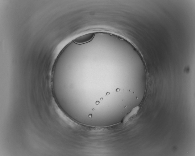 X0000112541535200908311434