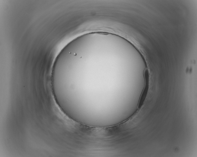 X0000112541536200908311434