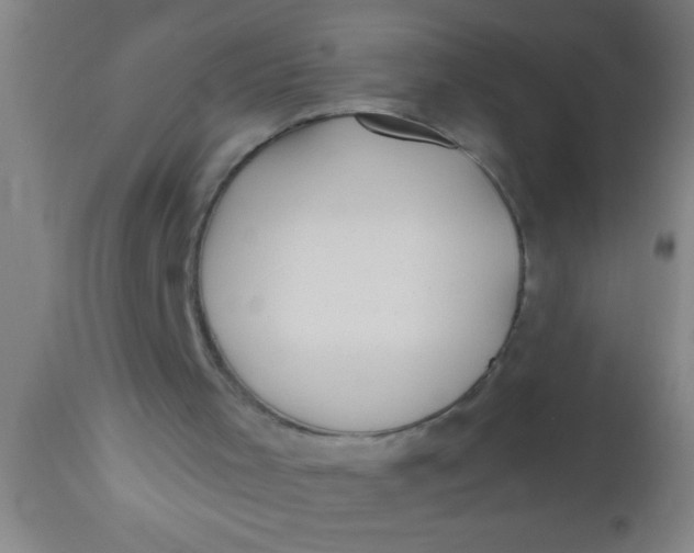 X0000112540001200909071433