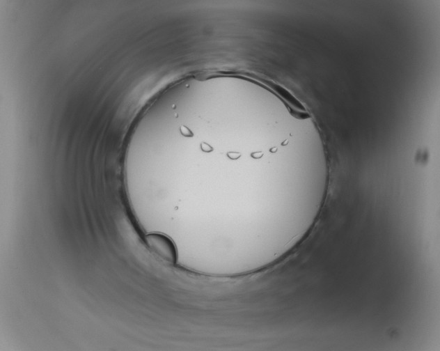 X0000112540002200909071433