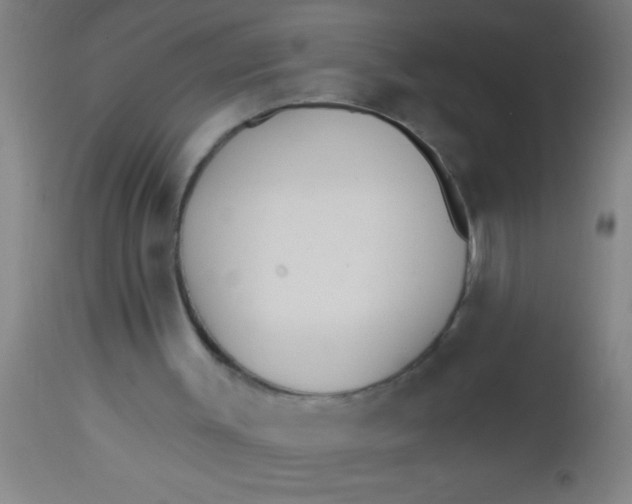 X0000112540003200909071433