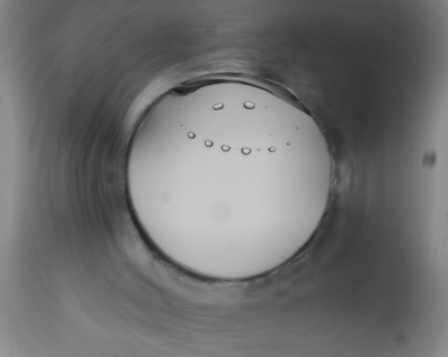 X0000112540004200909071433