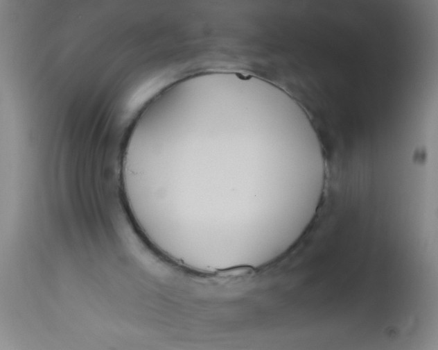 X0000112540005200909071433