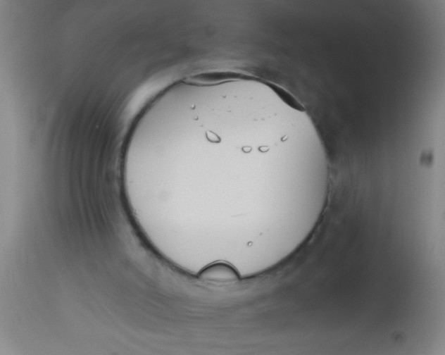 X0000112540006200909071433