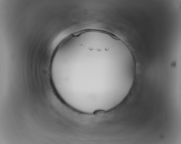 X0000112540007200909071433