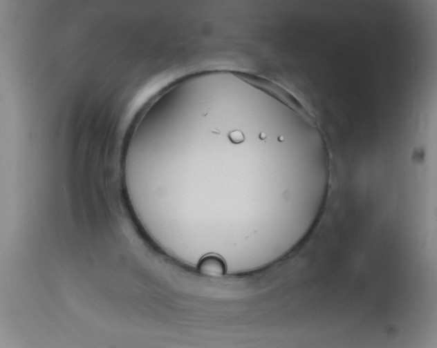 X0000112540008200909071433