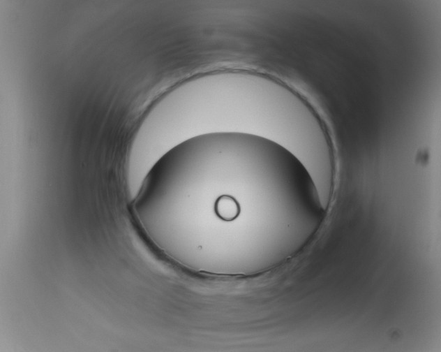 X0000112540009200909071433