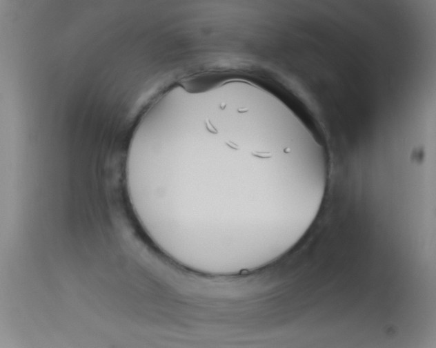 X0000112540010200909071433