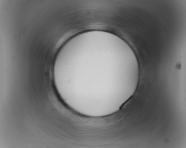 X0000112540011200909071433