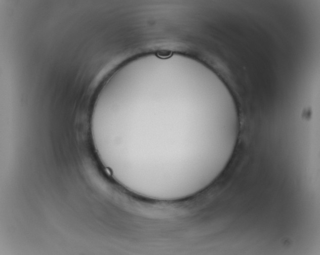 X0000112540012200909071433