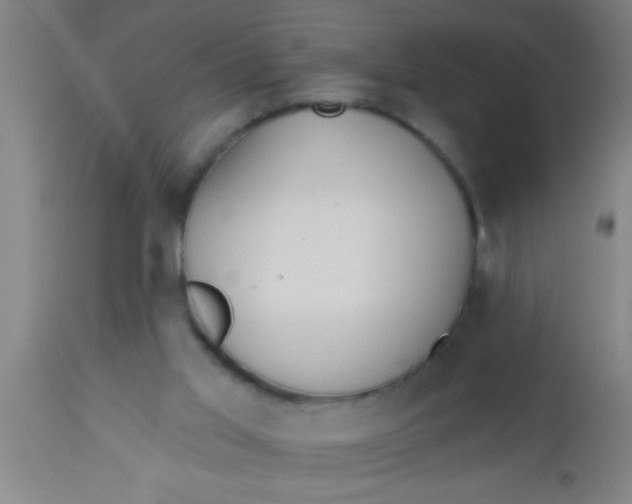 X0000112540013200909071433