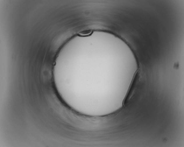 X0000112540015200909071433